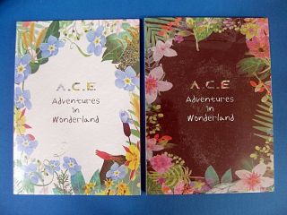 A.  C.  E - Adventures In Wonderland (day Ver. ,  Night Ver. ) Cd Set Ace K - Pop