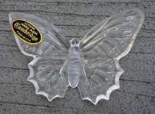 Extremely Rare Cambridge Novelty Glass Butterfly No.  3,  Ca.  1934 - 40,  Flawless
