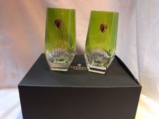 Waterford Mixology Neon Green Highball Glass Set of Two 4