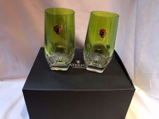 Waterford Mixology Neon Green Highball Glass Set of Two 5