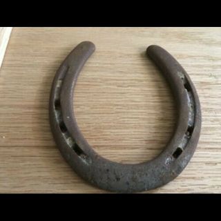 Horseshoe From Spruce Lawn Owned By Davy Jones Monkees