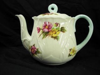 Rare Shelley Begonia Teapot & Lid,  Oleander Shape,  - Gorgeous