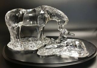 Exquisite Waterford Crystal Fred Curtis Standing Mare Foal/colt Horse Sculptures