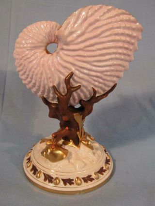 Lovely 9 " Royal Worcester 1883 Porcelain Nautilus Shell Vase - Pink Hue