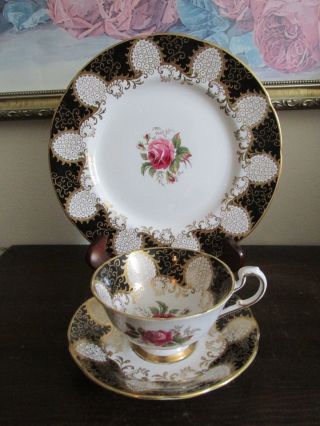 Paragon England Trio Tea Cup And Saucer Salad Plate Cabbage Roses Black Gold