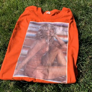 Vintage 70s Farrah Fawcett Majors Bathing Suit Iron - On T - Shirt Charlie’s Angel