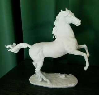 Rare Kaiser White Bisque Porcelain Rearing Stallion 481 Signed W.  Gawantka