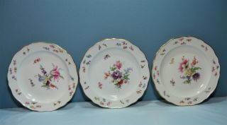 Supurb 3 Antique Meissen Porcelain Hand Painted Flowers & Insects 8 1/2/ " Plates