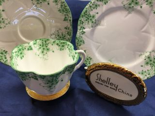 Shelley Dainty Green Daisy 053 Cup,  Saucer And 6 1/2 " Plate