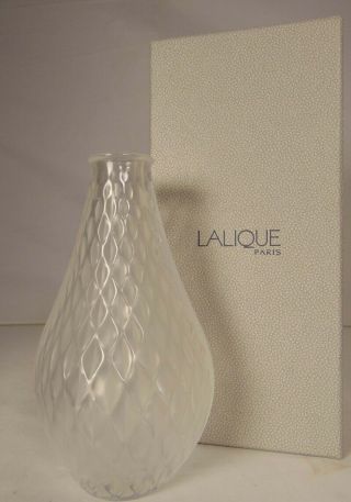 Signed Lalique Crystal Soliflore Vibration Bud Vase France Frosted