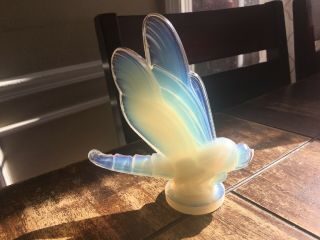 Sabino Glass Made In France : The Dragonfly Rare Opalescent French Sculpture 6”