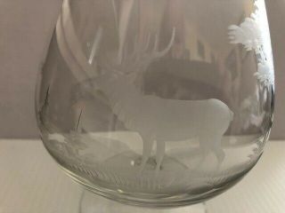 QUEEN LACE ETCHED CRYSTAL BRANDY SNIFTERS,  STAG AND WHITE TAILED DEER,  ONE EACH 6