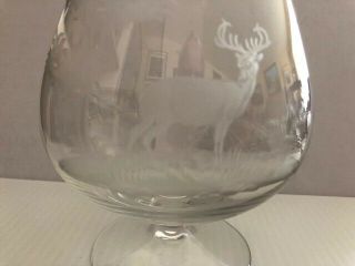 QUEEN LACE ETCHED CRYSTAL BRANDY SNIFTERS,  STAG AND WHITE TAILED DEER,  ONE EACH 8