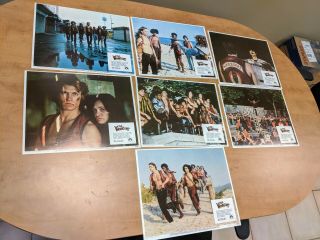 The Warriors 1979 Lobby Cards.  7 Cards Total Walter Hill Michael Beck