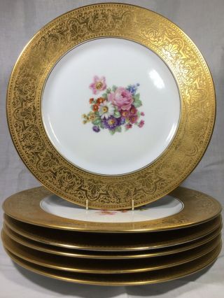 (6) Heinrich & Co (h&c) Selb Bavaria 10.  875 " Gold Encrusted Floral Dinner Plates