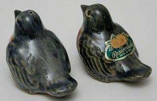 Vintage North Dakota Rosemeade Pottery Robin Birds Salt and Pepper Shakers 2