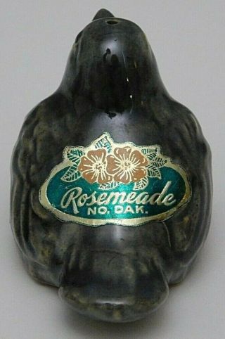 Vintage North Dakota Rosemeade Pottery Robin Birds Salt and Pepper Shakers 3