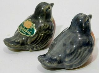Vintage North Dakota Rosemeade Pottery Robin Birds Salt and Pepper Shakers 4