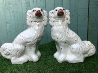Pair: Very Large 19thc Staffordshire White & Gilt Spaniel Dogs C1880s