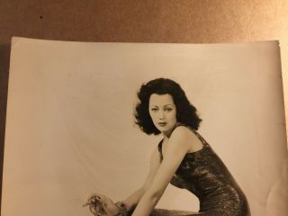 Inez Cooper Rare Stunning Autographed Vintage 8/10 Pin - Up Photo 1943 2