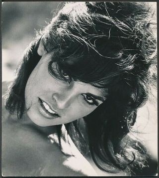 1960’s Photo Raquel Welch Sexy Star Actress Portrait Up - Close