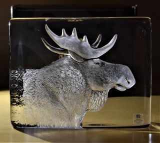 Moose Elk Mats Jonasson Crystal Relief Maleras 34126 Insured