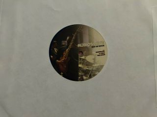Audioslave chris cornell autographed Out of Exile 2 LP Colored Vinyl Record Blue 5