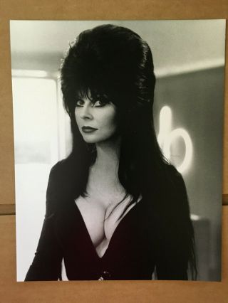 Elvira Vintage Press Headshot Photo.  Candid Fan