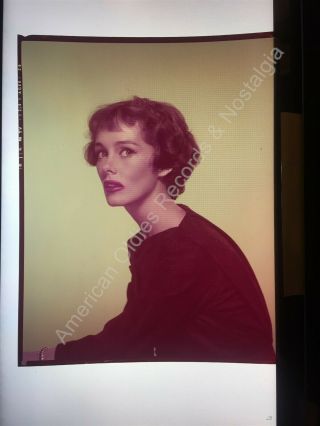 Phyllis Kirk " The Thin Man " (1950s) 8x10 Color Transparency.  Rare