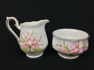 Royal Albert Blossom Time Tea Set for 2 Teapot Sugar Bowl Creamer Cups Saucers 6