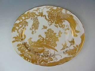 Royal Crown Derby China Gold Aves 13 " Oval Serving Platter