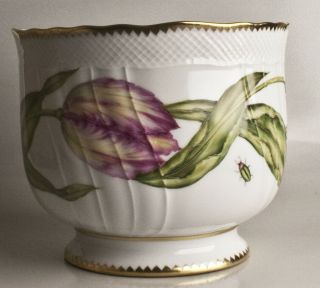 Va20 - Anna Weatherley Pink Tulip Cache Pot 7.  5 " Dia