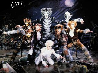 Cats The Musical Broadway Stage Poster Fridge Magnet 2.  5 " X 3.  5 "
