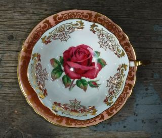 Paragon Cup And Saucer With Large Red Cabbage Rose Signed R.  Johnson
