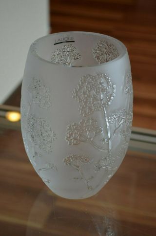 Lalique Medium Ombelles Ombelle Crystal Vase France