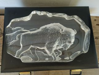 Mats Jonasson,  Buffalo,  Bison Cystal Glass Sculpture In Presentation Box,  Sweden