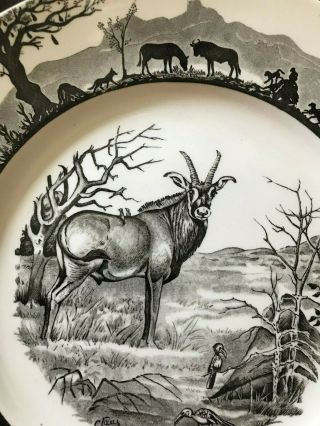 SIX Wedgwood Kruger National Park Dinner Plates - African Safari Wild Animals 10