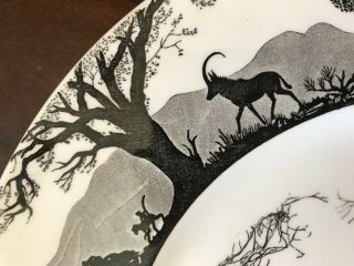 SIX Wedgwood Kruger National Park Dinner Plates - African Safari Wild Animals 4