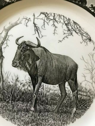 SIX Wedgwood Kruger National Park Dinner Plates - African Safari Wild Animals 8