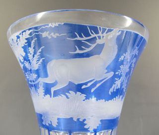 Antique 1800 ' s Cobalt Cut to Clear Czech Bohemian Mantle Vase Deer Stag yqz 3