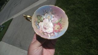 Very Rare Stunning Rainbow Flowered Paragon Cup & Saucer Very Rare