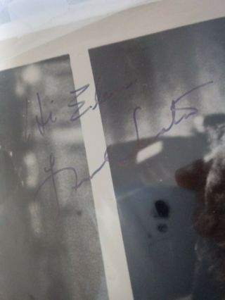 Frank Sinatra Signed Autographed Photo