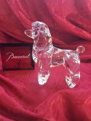Near Flawless Stunning Baccarat Art Glass Crystal Caniches Poodle Dog Figurine