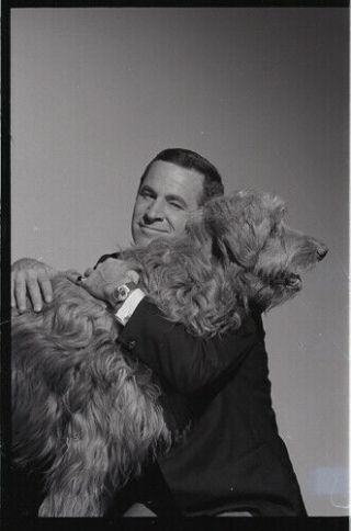 Don Adams Hugs Fang The Dog Get Smart Rare 1967 Nbc Tv Photo Negative