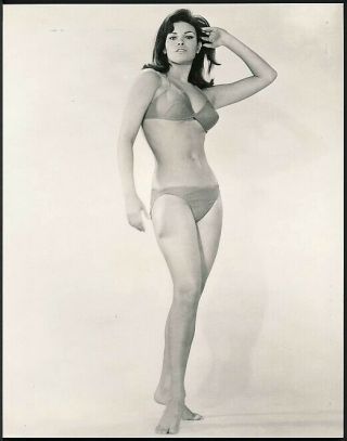 1966 Photo Raquel Welch Killer Bod In Bikini Swimsuit Wow