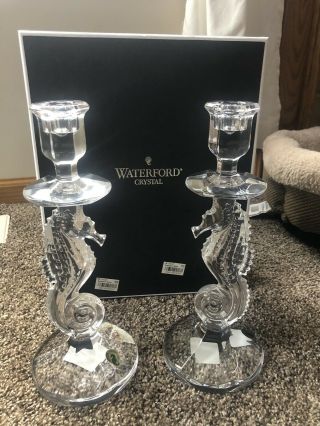 Set Of Two Waterford Crystal 11.  5” Seahorse Candlesticks Candle Holder Nib