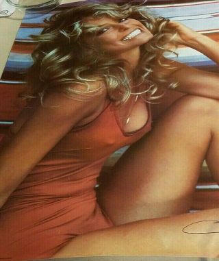 Vintage 1976 Farrah Fawcett Swimsuit Poster