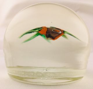 Paul Ysart? Fish On White Twisted Latticinio Art Glass Paperweight Vintage 4