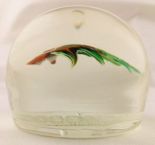 Paul Ysart? Fish On White Twisted Latticinio Art Glass Paperweight Vintage 5