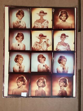 Raquel Welch Authentic Vintage Contact Sheet Photo